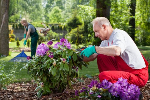 Free quote policy and transparent pricing for Tree Surgeons Feltham
