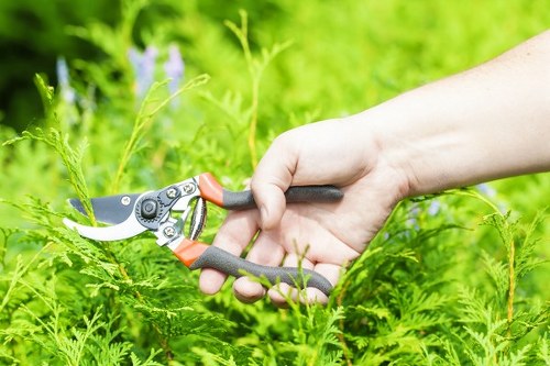 Final stage of a tree surgery complaints procedure showing fair resolution