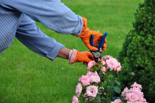 Ongoing accessibility commitment for local tree surgery services in Feltham