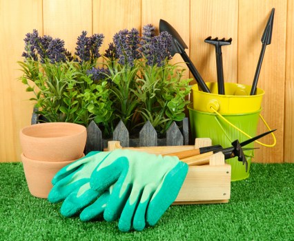 Careful hedge trimming and shaping in a Feltham outdoor space